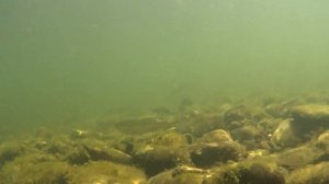 Июль  2023.  Отполыхал  жаром  солнечных  протуберанцев.