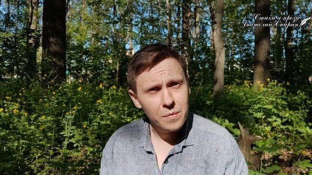 Стихи о любви. Стихи о жизни. Стихи о городе. Мудрые слова. Звуки природы. Читает автор А. Спирин смотреть онлайн
