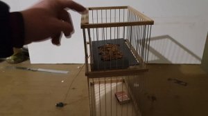 Ловушка для щеглов и прочей певчей птицы.