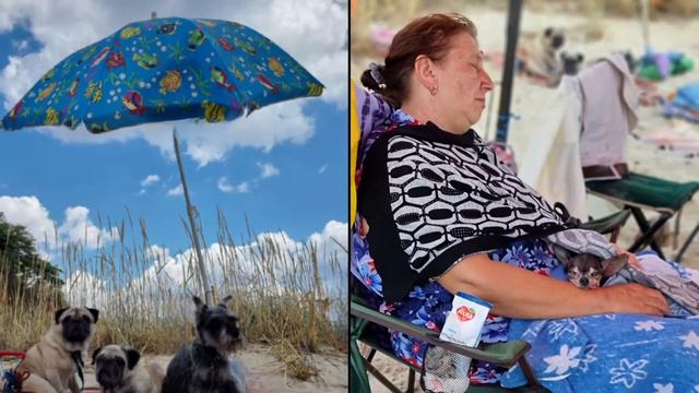 Клуб "Трон" Очаков 2021 смотреть онлайн