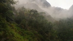 остров Шри-Ланка. Город Канди, чайные плантации и пляж Коггала