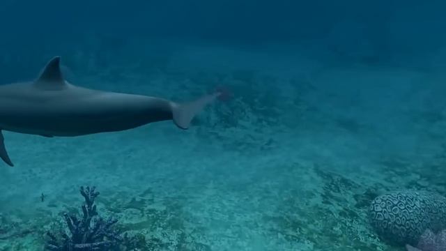 Исцеление нервной системы  звуками дельфинов► 888Гц