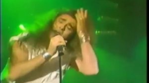 WINTER ROSE - I'll never fall in love again