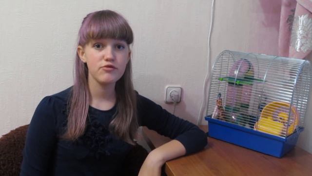 ♥Уход за джунгарскими хомяками♥+Интересный Совет by Polina Ivanova смотреть онлайн