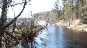 Карелия 2011 год, СямОзеро, рыбалка