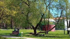 Санаторий Белорусочка. небольшой обзор.