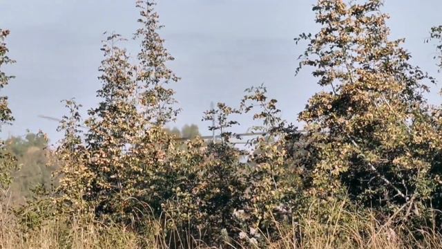 Проходят учения. смотреть онлайн