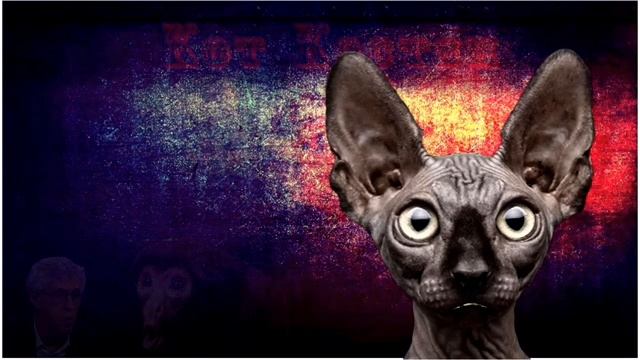 Страна 404 смотреть онлайн