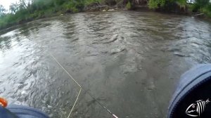 Рыбалка на нахлыст , Хариус на Урале !