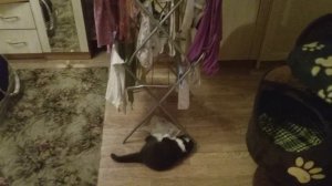 Филя снимает бельё