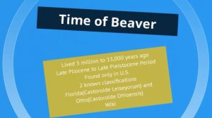 The Giant Beaver- MegaFauna