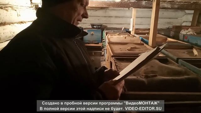 Пчёлки довольны , им не страшны наши морозы под - 38 . смотреть онлайн