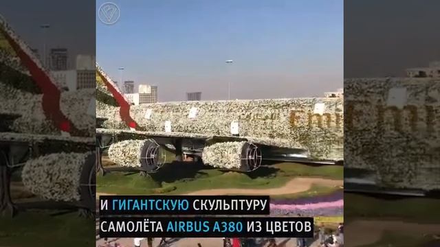 Самый большой цветочный парк в мире!!!!!