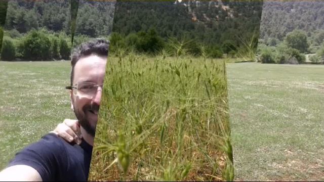 tango evora смотреть онлайн