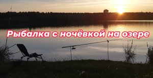 ПРИЕХАЛ ЗА БЕЛОЙ РЫБОЙ, НО ПОЙМАЛ ОКУНЕЙ. РЫБАЛКА НА ОЗЕРЕ