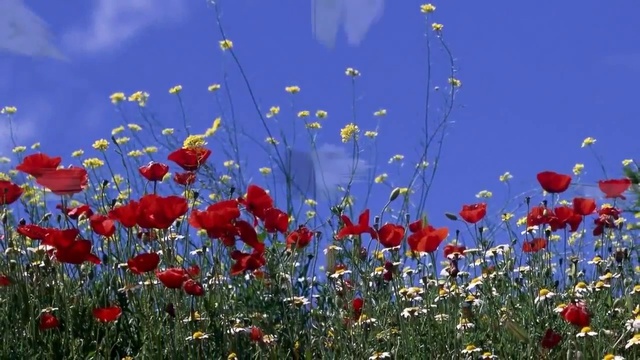 НЕЗАМЕТНО смотреть онлайн