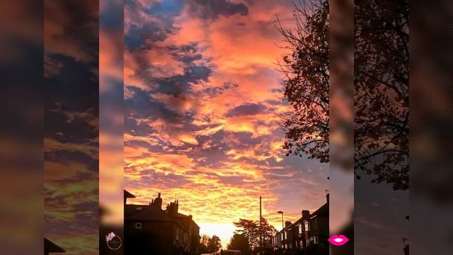 #для_души 🌺 #романтика #любовь #счастье смотреть онлайн