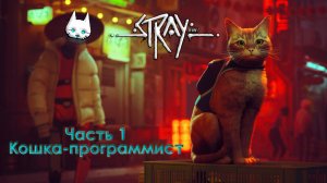 Stray. Часть 1. Кошка-программист