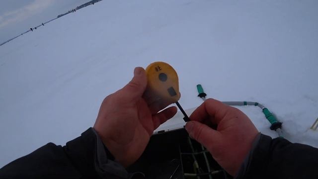Чемпионат Белгородской области ловля мормышкой со льда