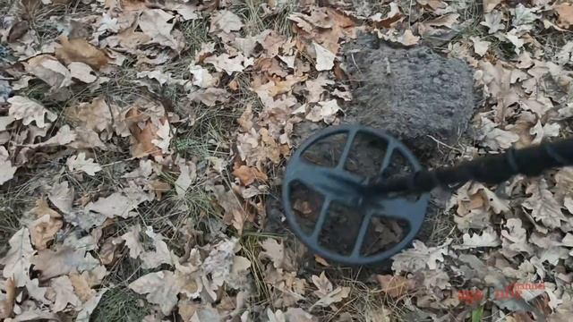 Полевой тест Пинпоинтера с экраном. LCD Display Pinpointer Metal Detector real test