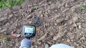 В поле в писках монет. Tianxun TX850 и новый пин Tanxunzhe 110