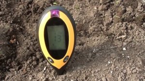 Когда сеять семена на рассаду и высаживать в теплицу!