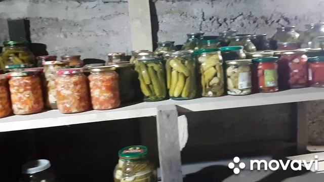 ЗАПАСЫ на зиму В ДЕРЕВНЕ./ ВЫГОДНО жить в деревне или нет... смотреть онлайн