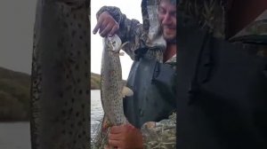 Приморский край   ловля щуки  в  уссурийском районе