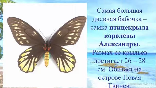 Океания