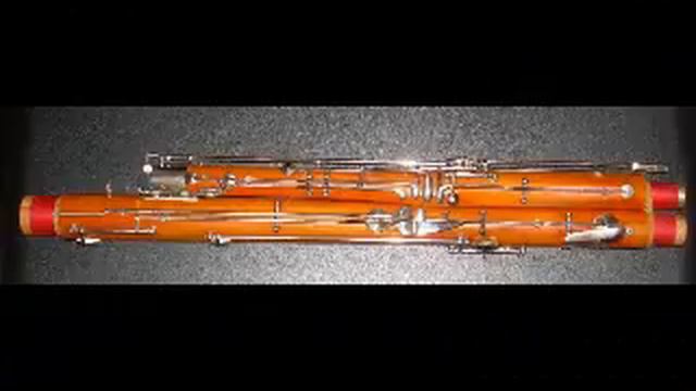 Vivaldi Bassoon Concerto Mov. I. in e minor. KV 484 смотреть онлайн