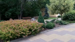 Славянск. 23 июня 2022г. Городской парк.