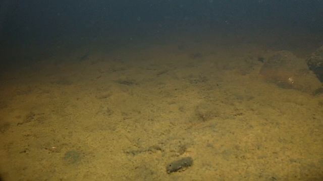 Устимский пруд(Кулебаки )под водой //МЕТАЛЛИЧЕСКИЕ ШТЫРИ НА ДНЕ// Зимняя рыбалка 2023 смотреть онлайн