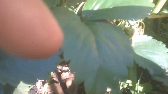 Тем,кто ложиться Спать --Спокойного Сна!!!!А мы ещё работаем заливаем формочки ,делаем плитку сами смотреть онлайн