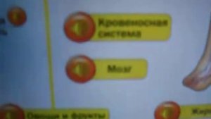 Распродажа игрушек на Slando.Плакат развивающий Говорящая Анатомия Для детей Возраст 4 7 лет