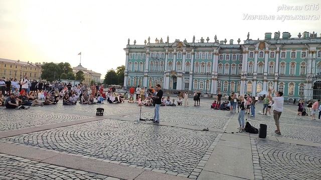 Уличный музыкант на Дворцовой площади #СПб