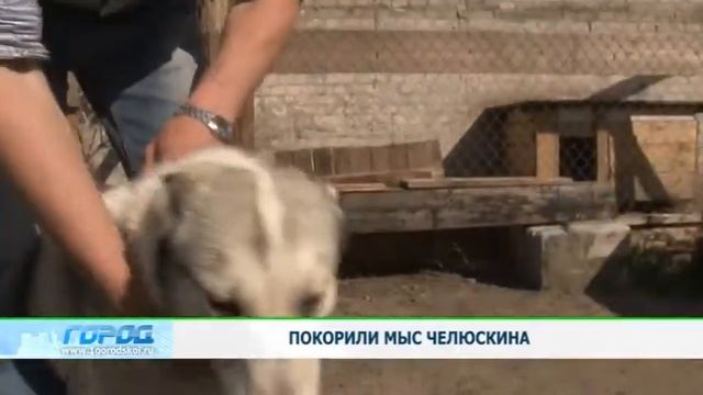 Нижегородцы прошли 10 тысяч километров и покорили Мыс Челюскин смотреть онлайн