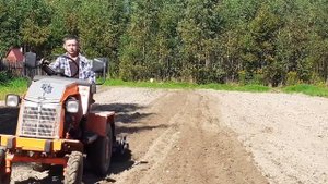Пружинная борона - культиватор для минитрактора в работе