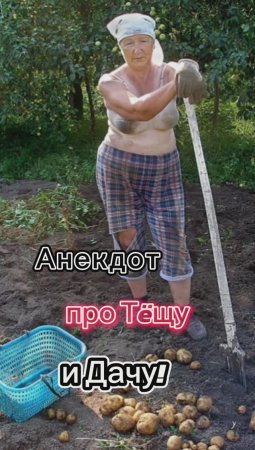 Про Тëщу и Дачу 🤣🤣🤣