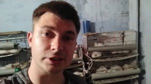 Выращивание Бройлеров кобб500/ Бройлеры упали на ноги