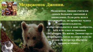 Сетон  Томпсон "Жизнь животных"