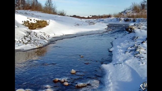 Он-лайн мероприятие в СХУ имени Ф. В. Сычкова "Поэзия - музыка души". смотреть онлайн
