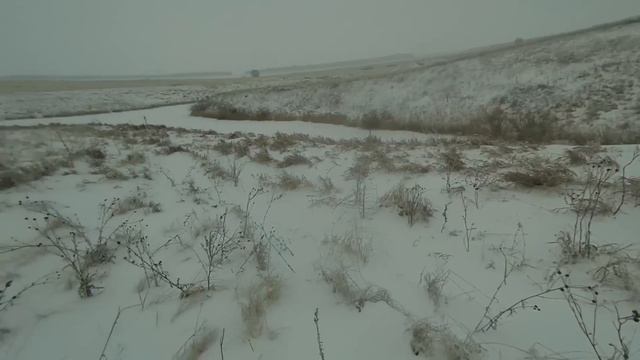 Охота на зайца 3.01. 24. С Новым полем вас, дорогие товарищи! смотреть онлайн