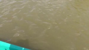 Дельта Волги. База "Иголка 199".  Апрель 2017г.