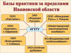 Обзор направлений в области пищевой химии