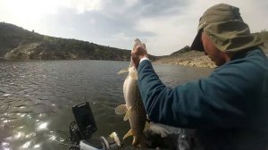 PESCA de LUCIOS y BARBOS en VERTICAL con SEÑUELOS HERAKLES el "Vobbler Shad" Abril 2017