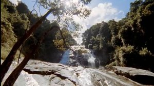 Дейнотерий ( Прогулки с чудовищами )