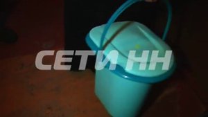 Цыганский табор сделал невыносимой жизнь целого дома.