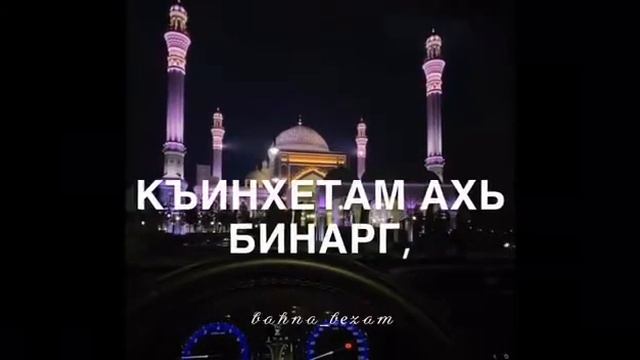 Ризавди Исмаилов-пхенашкахь кхаьрста ц1и💕 смотреть онлайн