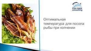 Оптимальная температура для посола рыбы при копчении