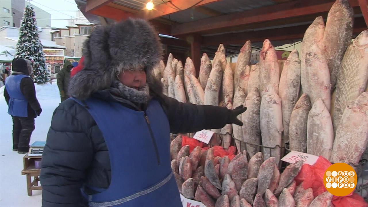 Холода - не беда! Доброе утро. Фрагмент выпуска от 05.01.2023